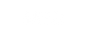 Wrestling Megastars